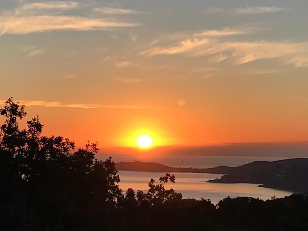 Villa L'Arbousière Porto Vecchio Esterno foto